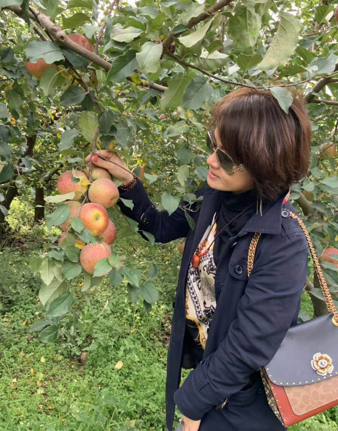 20191112192493.jpg 20191112192493.jpg