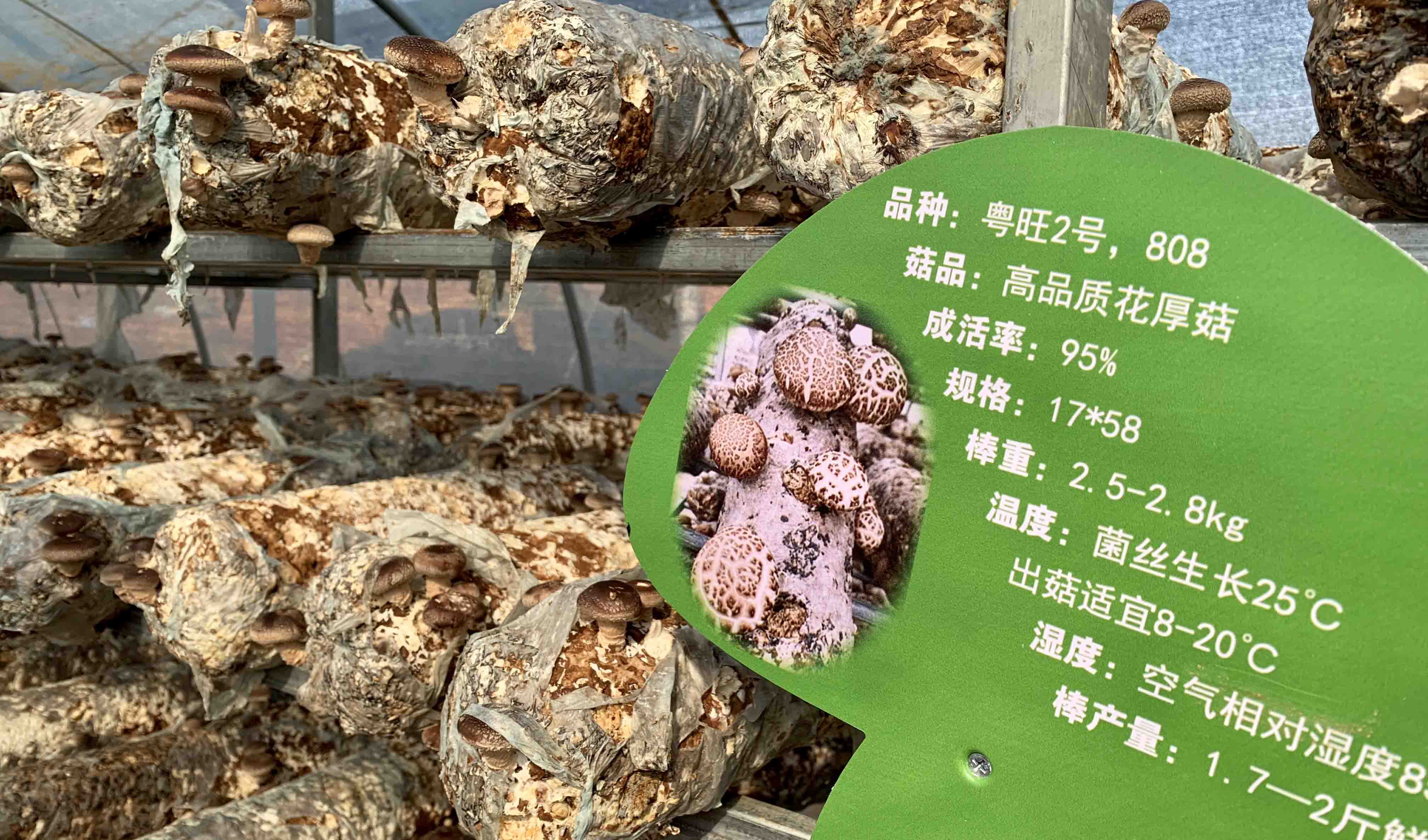 20191112628274.jpg 20191112628274.jpg