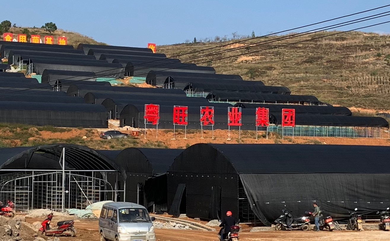 20191112807421.jpg 20191112807421.jpg