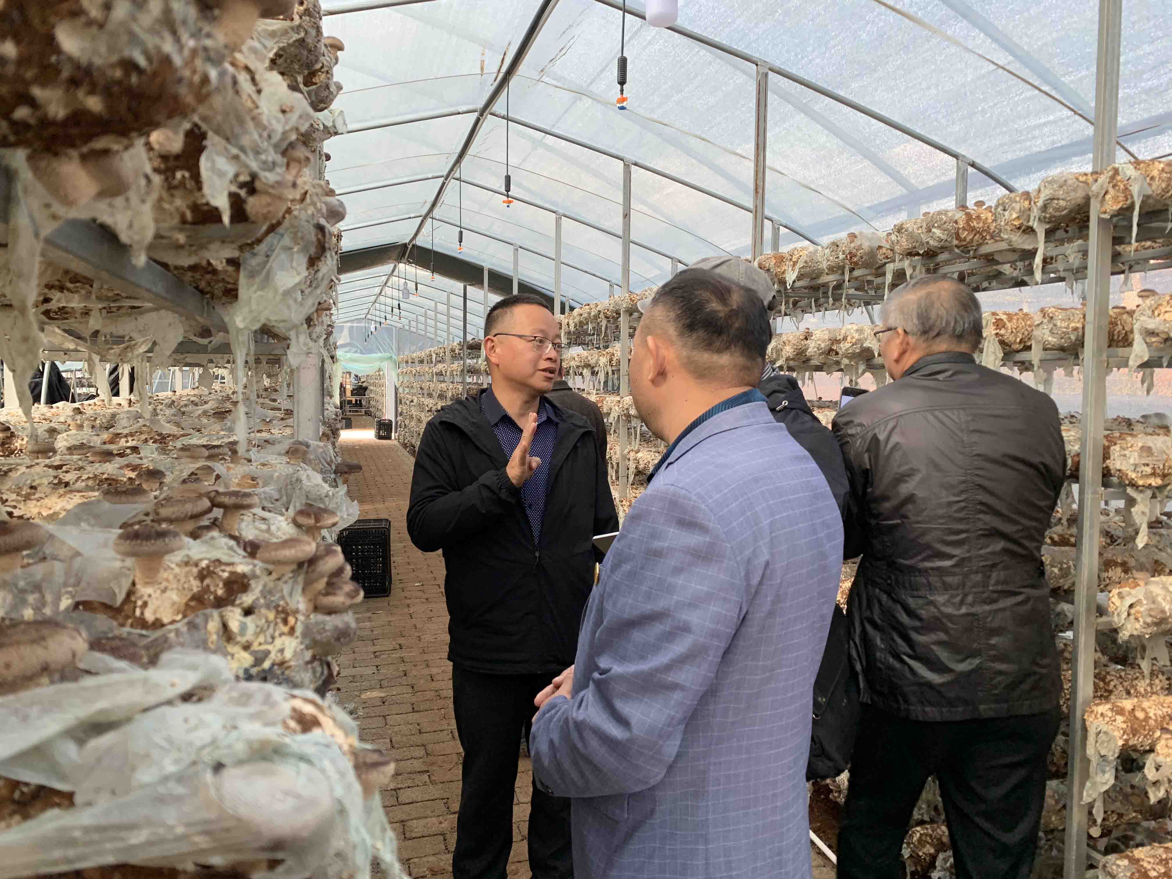 20191112183273.jpg 20191112183273.jpg