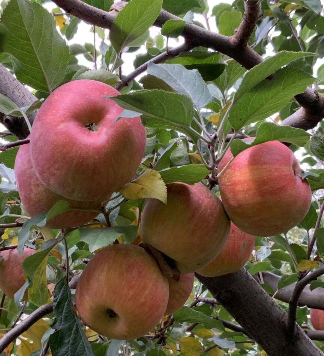 20191112804464.jpg 20191112804464.jpg