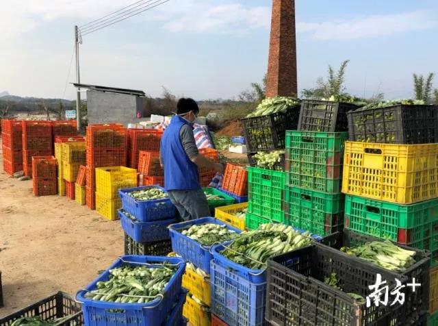 微信图片_20200210144746.jpg 微信图片_20200210144746.jpg