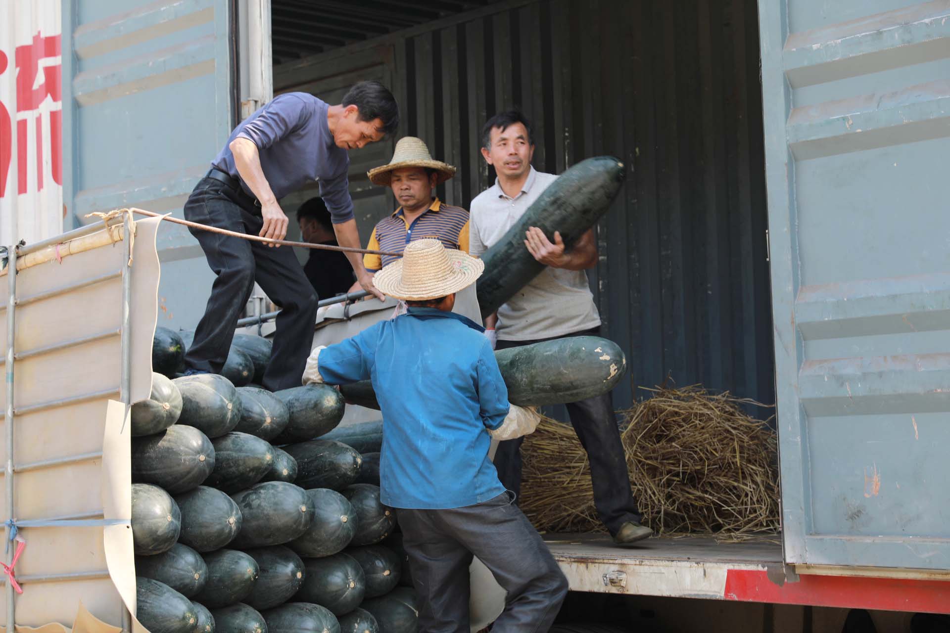 mmexport1582280966169.jpg mmexport1582280966169.jpg