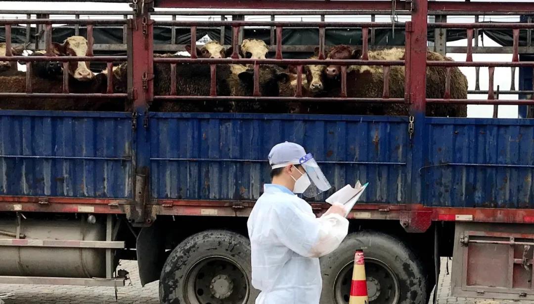 微信图片_20210723185140.jpg 微信图片_20210723185140.jpg